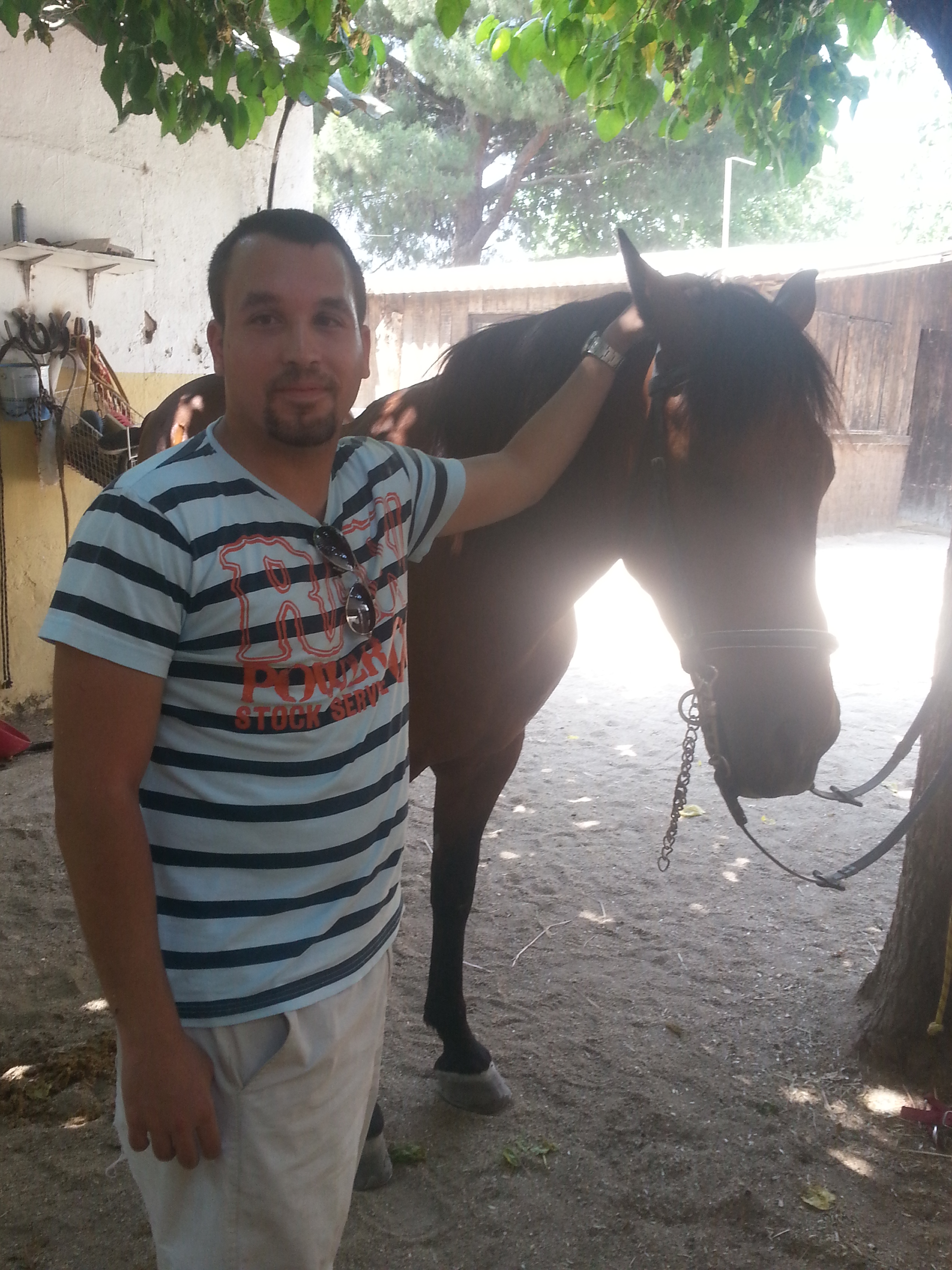 Yo con un caballo