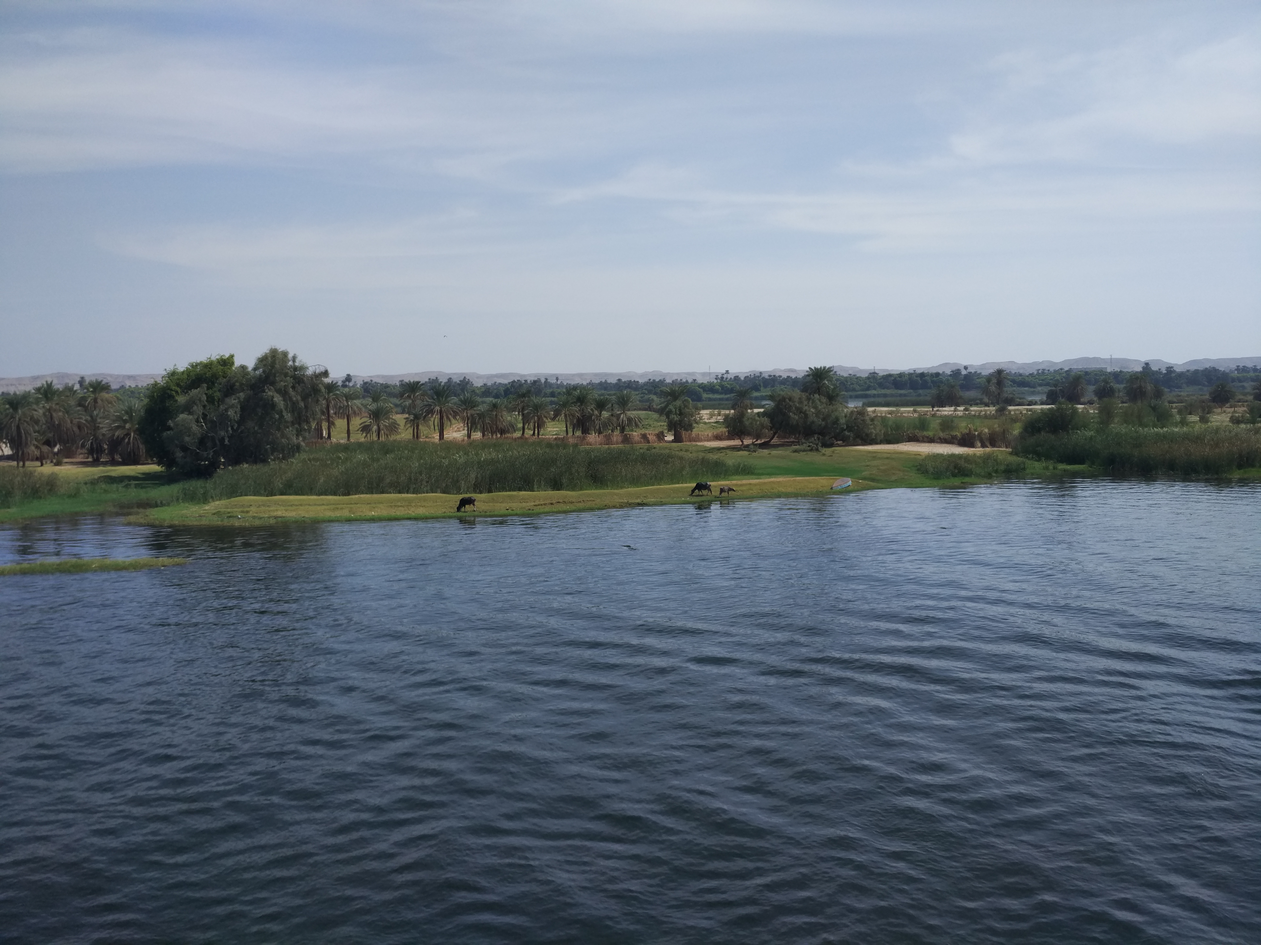 Río Nilo visto desde el crucero